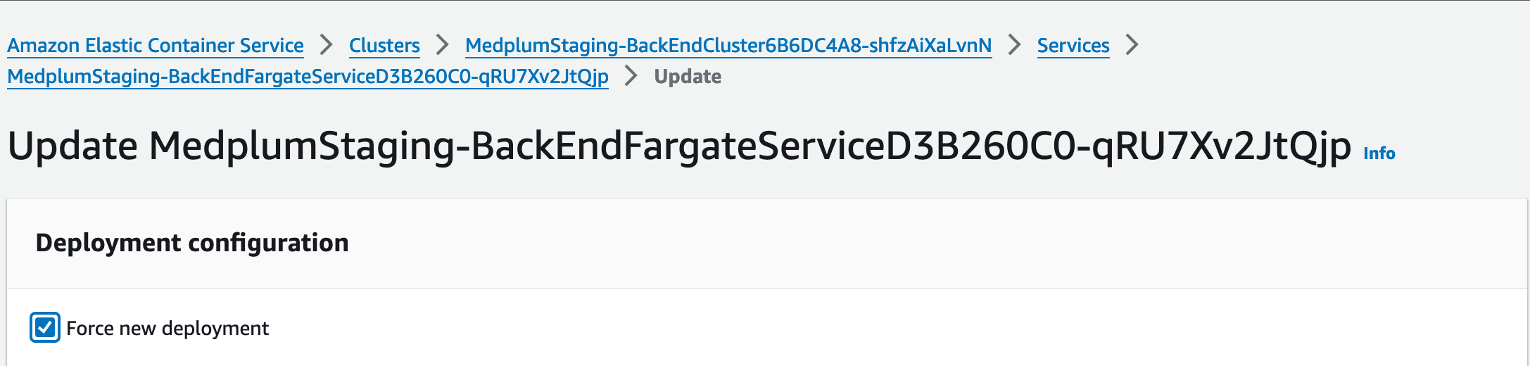 AWS Console screenshot showing the &quot;Force new deployment&quot; checkbox checked when updating the ECS Service